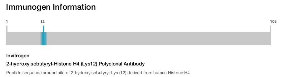 2-hydroxyisobutyryl-Histone H4 (Lys12) Polyclonal Antibody