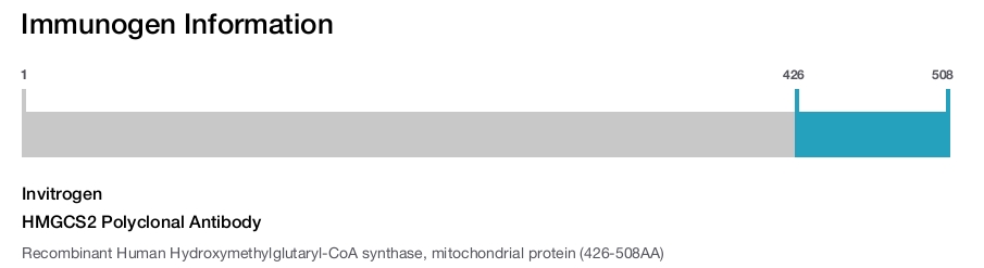 HMGCS2 Polyclonal Antibody