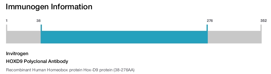 HOXD9 Polyclonal Antibody