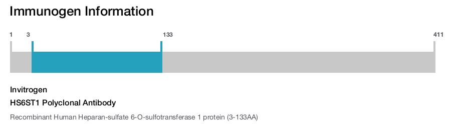 HS6ST1 Polyclonal Antibody