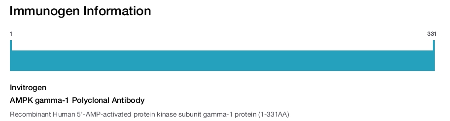 AMPK gamma-1 Polyclonal Antibody