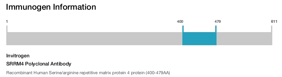 SRRM4 Polyclonal Antibody