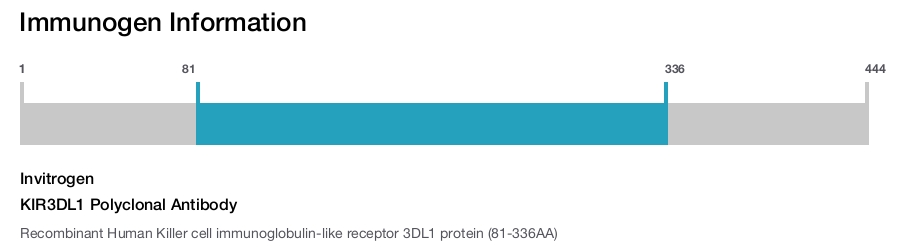 KIR3DL1 Polyclonal Antibody