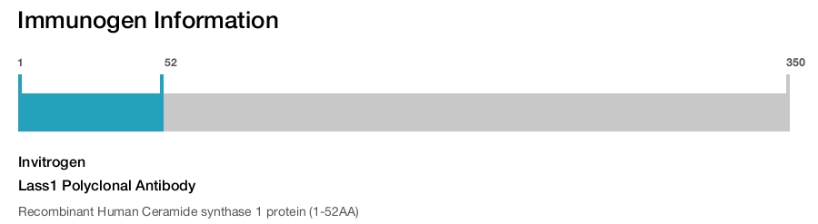 Lass1 Polyclonal Antibody