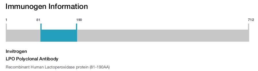 LPO Polyclonal Antibody