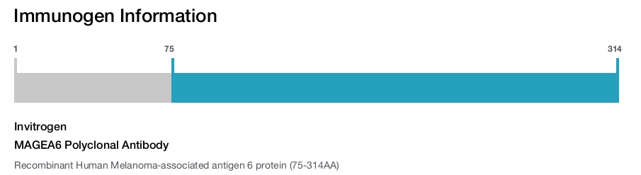 MAGEA6 Polyclonal Antibody