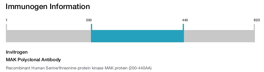 MAK Polyclonal Antibody