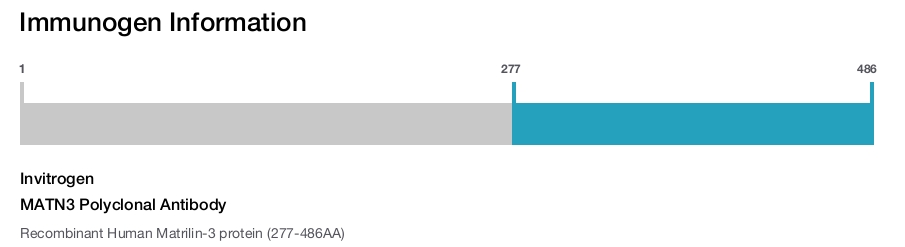 MATN3 Polyclonal Antibody