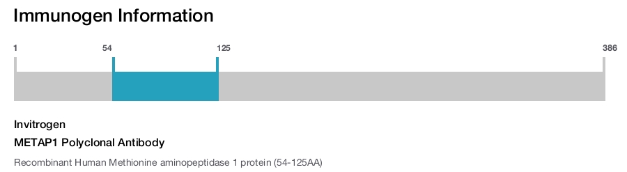 METAP1 Polyclonal Antibody