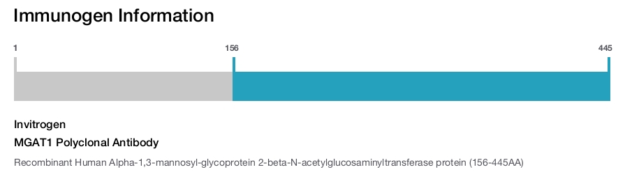 MGAT1 Polyclonal Antibody