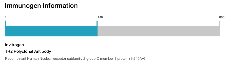 TR2 Polyclonal Antibody