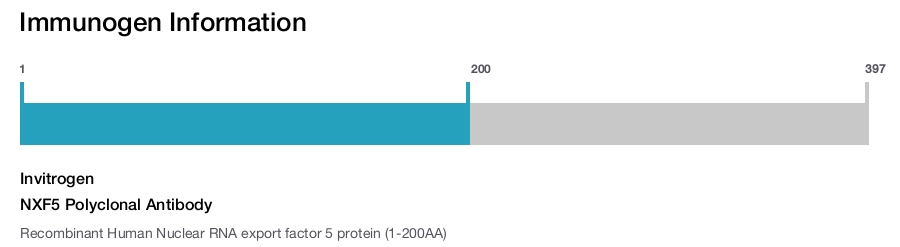 NXF5 Polyclonal Antibody