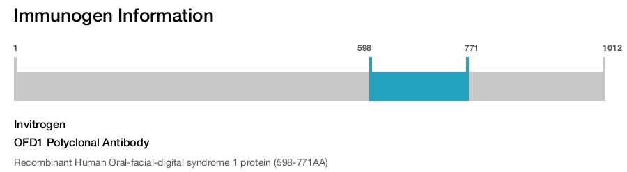 OFD1 Polyclonal Antibody