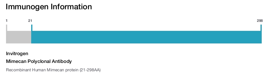 Mimecan Polyclonal Antibody