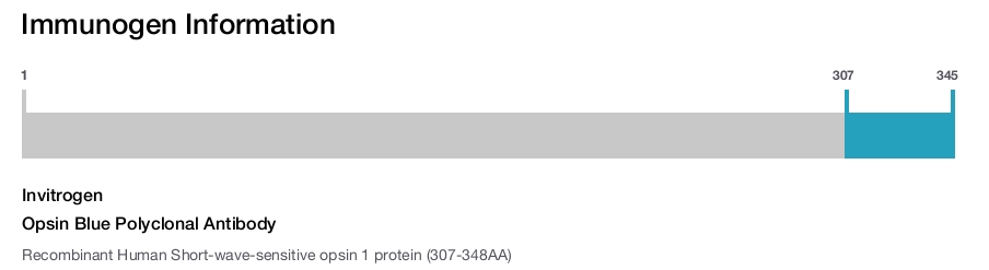 Opsin Blue Polyclonal Antibody