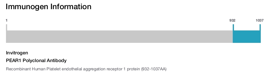 PEAR1 Polyclonal Antibody