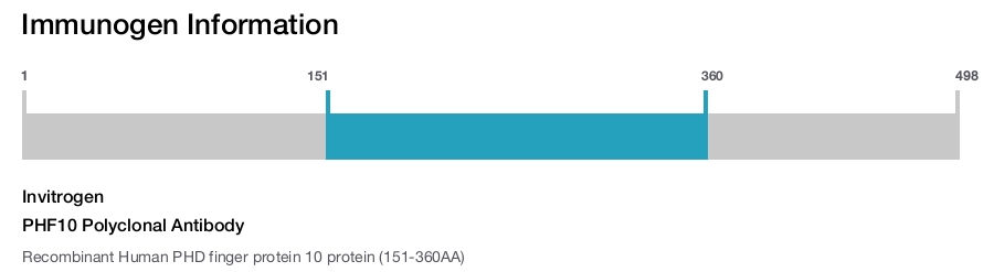 PHF10 Polyclonal Antibody