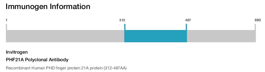 PHF21A Polyclonal Antibody