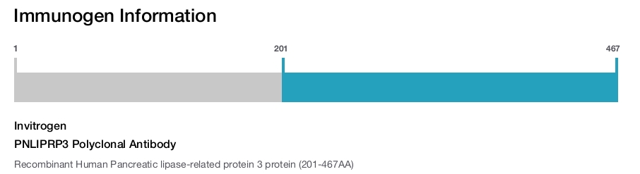 PNLIPRP3 Polyclonal Antibody