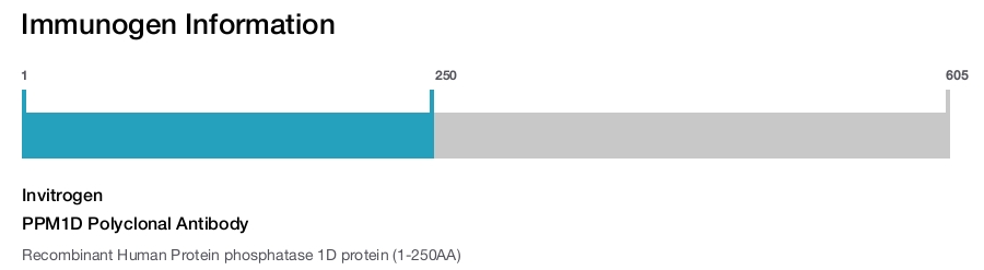 PPM1D Polyclonal Antibody