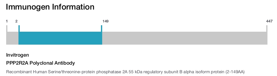 PPP2R2A Polyclonal Antibody