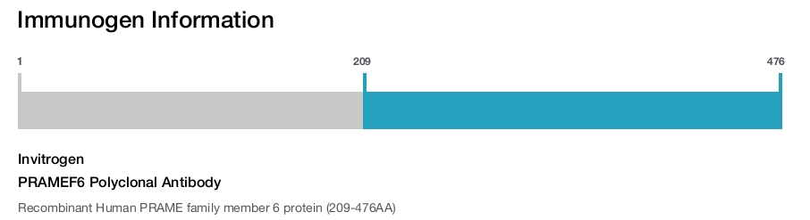 PRAMEF6 Polyclonal Antibody