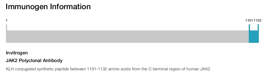JAK2 Polyclonal Antibody