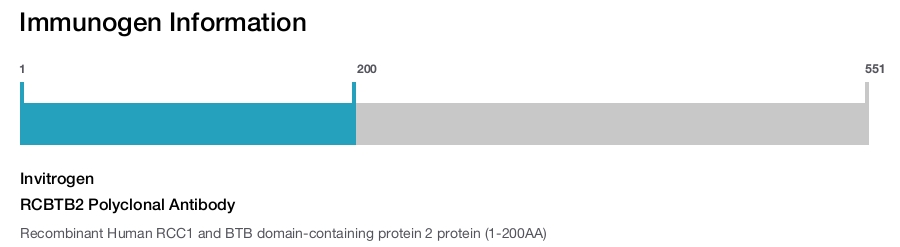 RCBTB2 Polyclonal Antibody