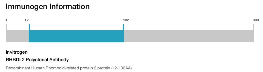 RHBDL2 Polyclonal Antibody