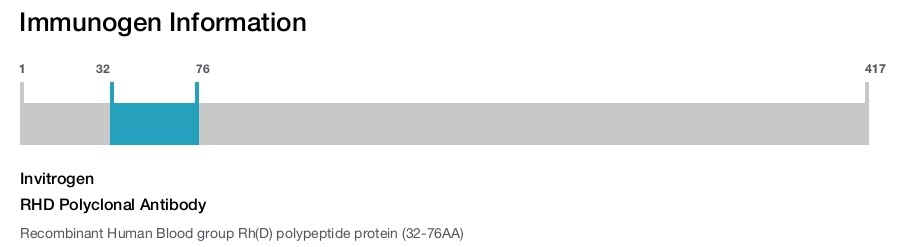 RHD Polyclonal Antibody