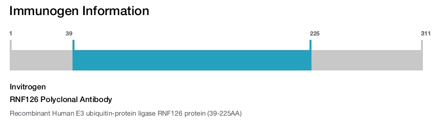 RNF126 Polyclonal Antibody