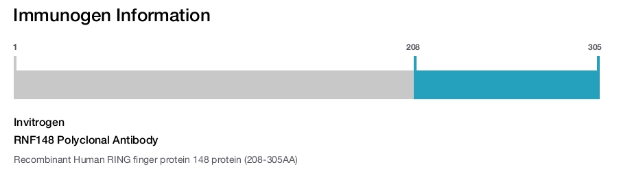 RNF148 Polyclonal Antibody