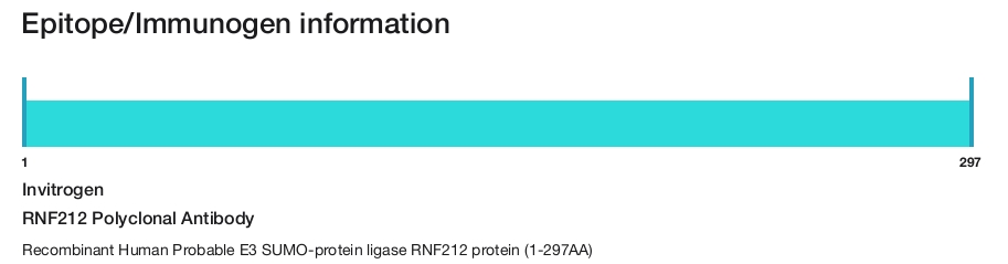 RNF212 Polyclonal Antibody