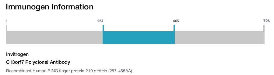 C13orf7 Polyclonal Antibody