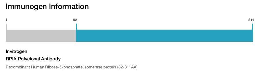 RPIA Polyclonal Antibody