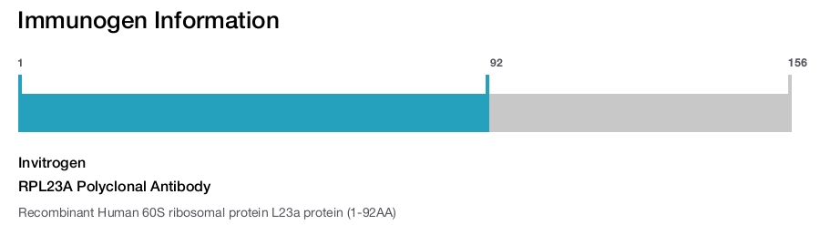 RPL23A Polyclonal Antibody
