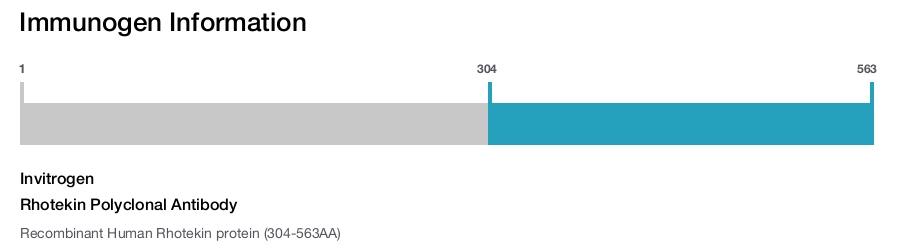 Rhotekin Polyclonal Antibody
