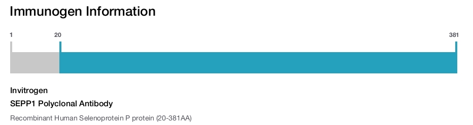 SEPP1 Polyclonal Antibody