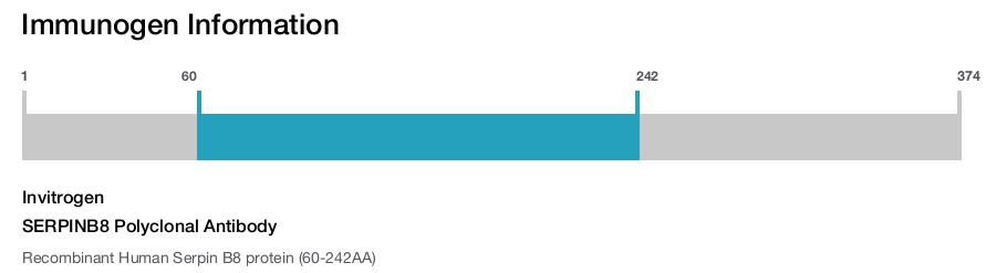 SERPINB8 Polyclonal Antibody