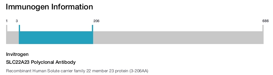 SLC22A23 Polyclonal Antibody