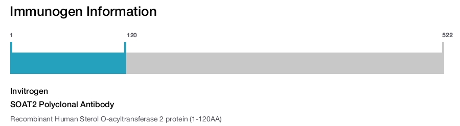 SOAT2 Polyclonal Antibody