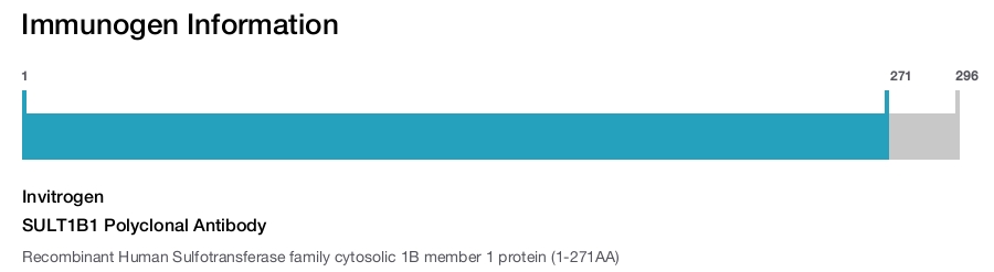SULT1B1 Polyclonal Antibody