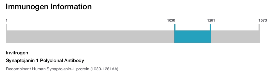Synaptojanin 1 Polyclonal Antibody