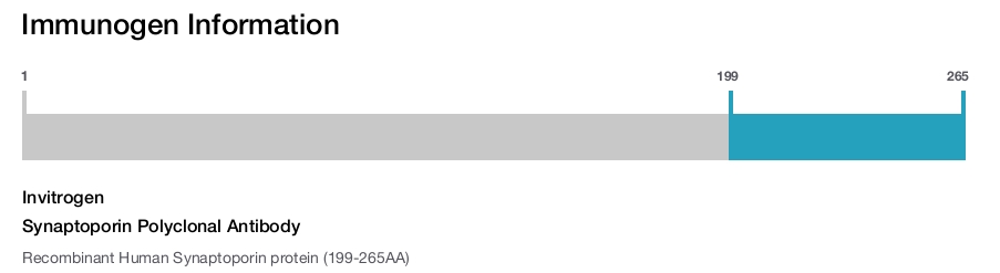 Synaptoporin Polyclonal Antibody