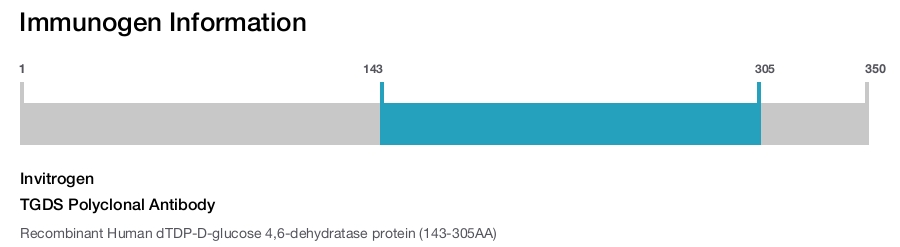 TGDS Polyclonal Antibody