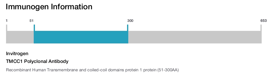 TMCC1 Polyclonal Antibody
