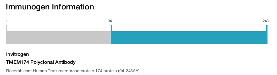 TMEM174 Polyclonal Antibody