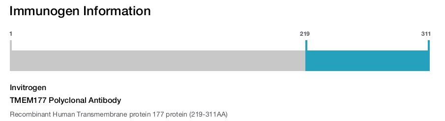 TMEM177 Polyclonal Antibody