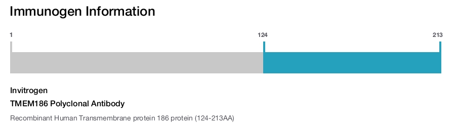 TMEM186 Polyclonal Antibody