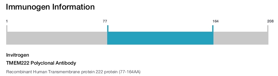 TMEM222 Polyclonal Antibody